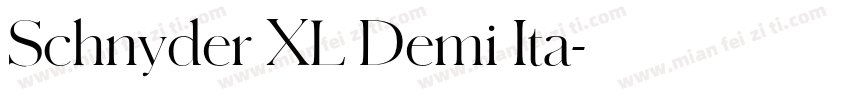Schnyder XL Demi Ita字体转换